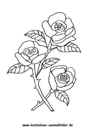 ausmalbilder rosen