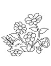 Ausmalbild 3 Blumen und Pilz