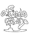 Ausmalbild Blumen in der Giesskanne