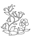 Ausmalbild Glockenblumen