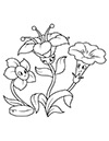 Ausmalbild lustige Glockenblumen