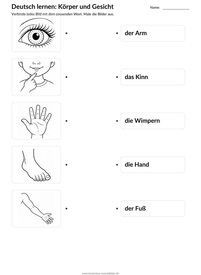 Ausmalbild Zuordnung Arm Kinn Wimpern