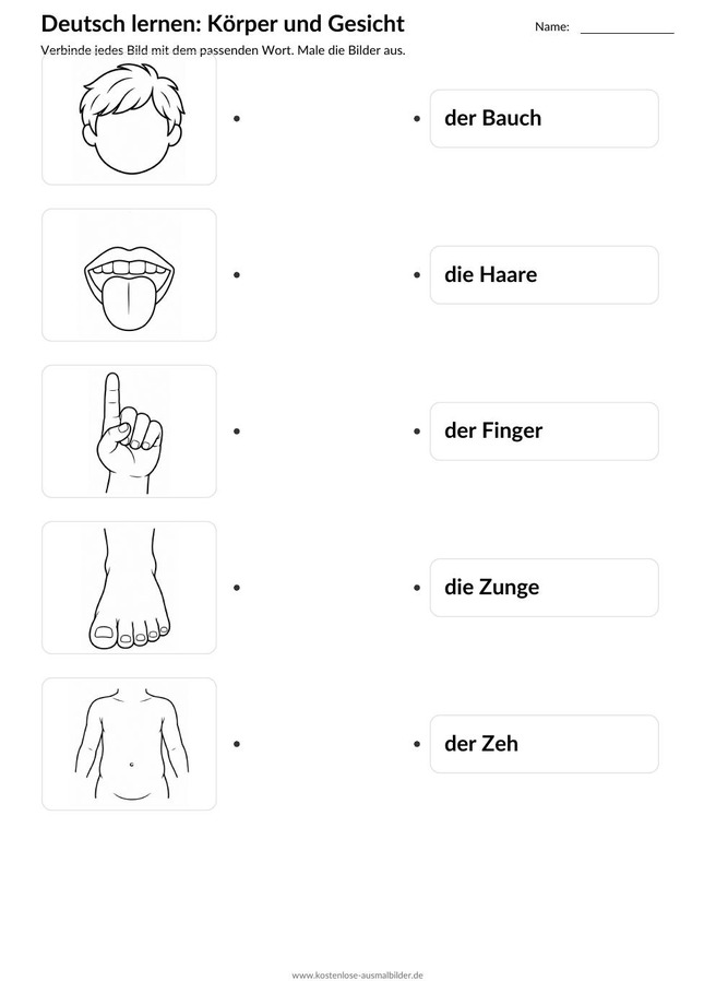 Ausmalbild Zuordnung Bauch Haare Finger