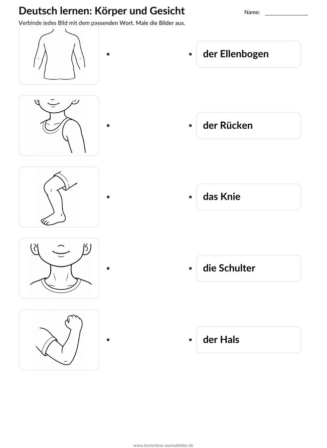 Ausmalbild Zuordnung Ellenbogen Rücken Knie