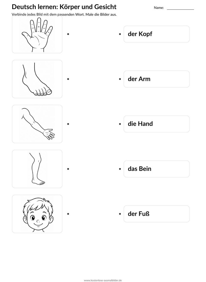 Ausmalbild Zuordnung Kopf Arm Hand