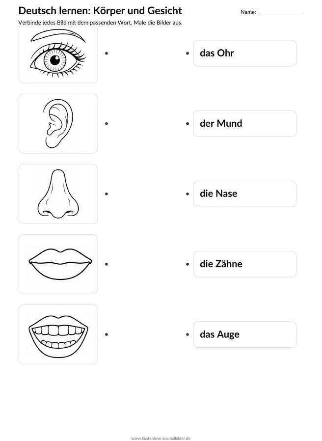 Ausmalbild Zuordnung Ohr Mund Nase