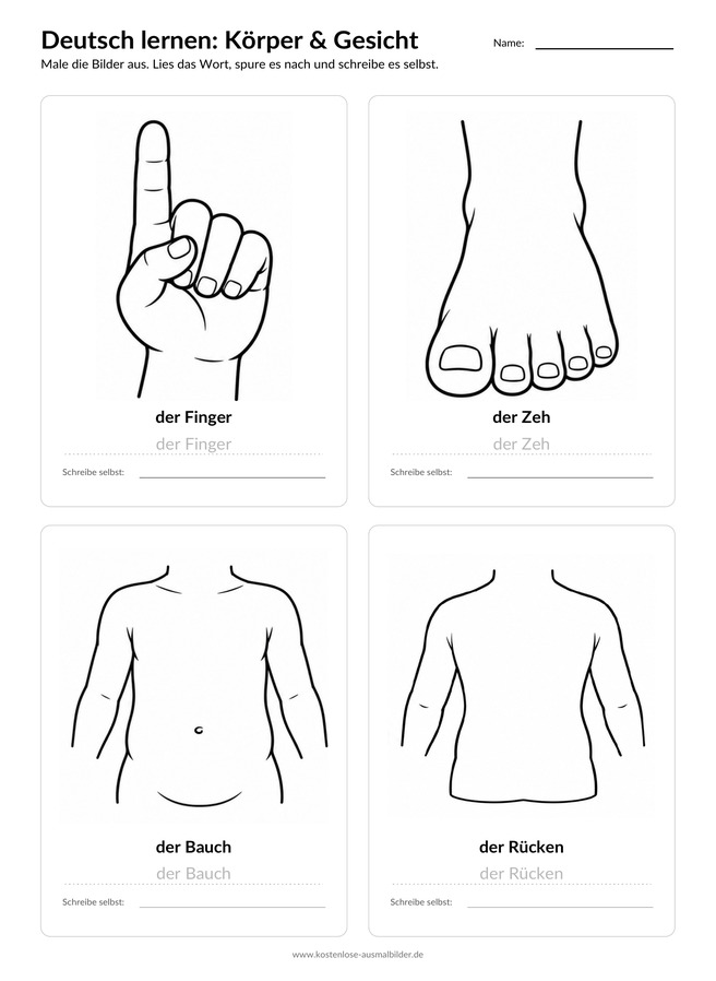 Ausmalbild Arbeitsblatt Finger Zeh Bauch Rücken