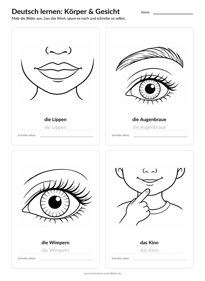 Ausmalbild Arbeitsblatt Lippen Augenbraue Wimpern Kinn
