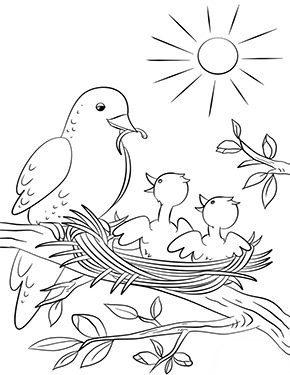 Ausmalbild Frühling – Vögel im Nest ausdrucken