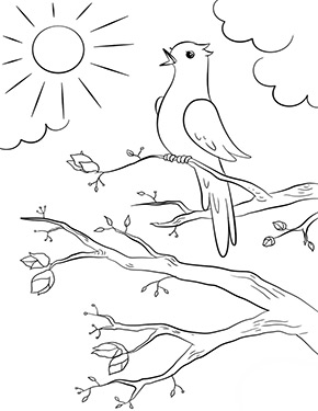 Ausmalbild singender Vogel