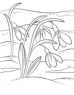 Frühlingserwachen auf Papier: Ausmalbilder Schneeglöckchen – Kostenlose Freude für Groß und Klein!