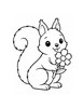 Ausmalbild Eichhörnchen mit Blumen