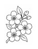 Ausmalbild Kirschblüten am Zweig