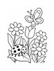 Ausmalbild Marienkäfer auf der Blumenwiese