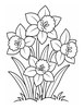 Ausmalbild Narzissen Blumenstrauss