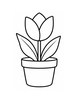 Ausmalbild Tulpe im Blumentopf