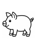 Ausmalbild Schwein