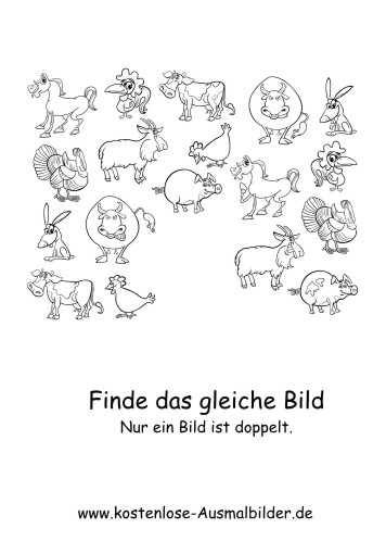 Ausmalbild Gleiches Bild