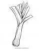 Malvorlage Lauch