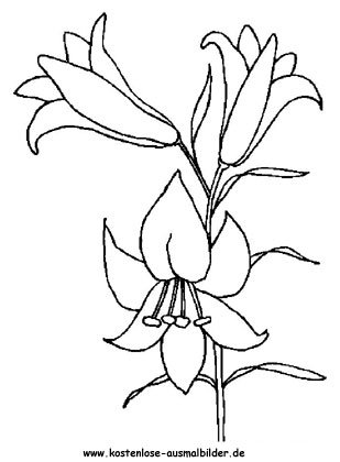 Ausmalbild Osterblume
