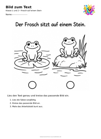 Ausmalbild Frosch auf einem Stein
