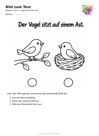Ausmalbild Vogel auf einem Ast