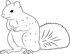 Eichhoernchen im Zoo