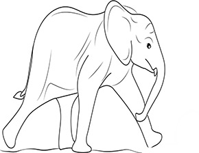 Elefantenbaby im Zoo