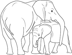 Elefantenkuh mit Baby im Zoo