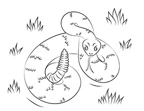 Klapperschlange im Zoo