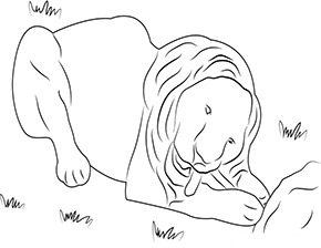 weisser Loewe im Zoo