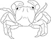 Ausmalbild Krabbe im Zoo