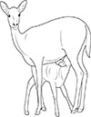 Ausmalbild Reh mit Baby im Zoo