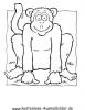 Ausmalbild Affe 2