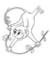 Ausmalbild Affen Baby