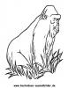 Ausmalbild Gorilla 1