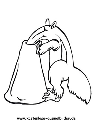 Ausmalbild Ameisenbär 1