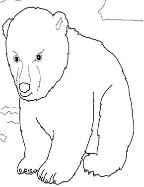 Ausmalbild Eisbar Baby Zum Ausdrucken