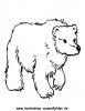 Ausmalbild Bär 3