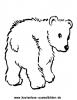 Ausmalbild Bär 4