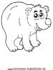 Ausmalbild Bär 6