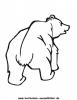 Ausmalbild Braunbär