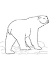 Ausmalbild Eisbär geht spazieren
