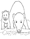 Ausmalbild Eisbär und Eisbärbaby