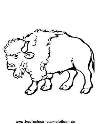 Ausmalbild Büffel 1