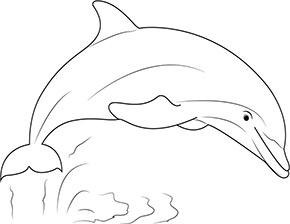 ausmalbild delfin show zum ausdrucken