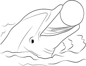 Ausmalbild Delfin mit Ball zum Ausdrucken