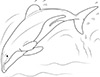 Ausmalbild Delfin taucht ein