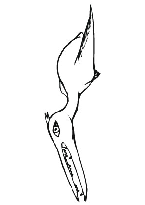 Ausmalbild Dino im Sturzflug