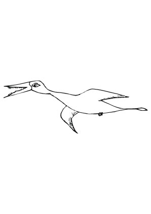 Ausmalbild Hungriger Flugdino